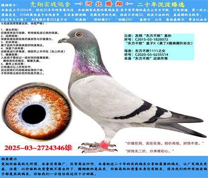衰ܡֱX11111ֱŮ