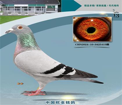 Ǳȷɱȵꡰҡֱ305X׸š359