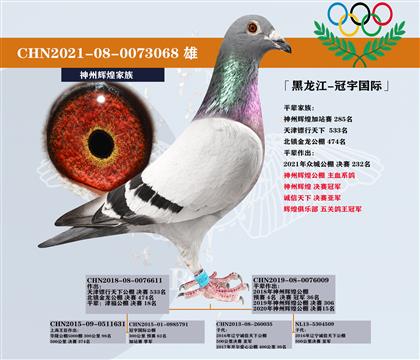 <>ݻԻ͹ھ