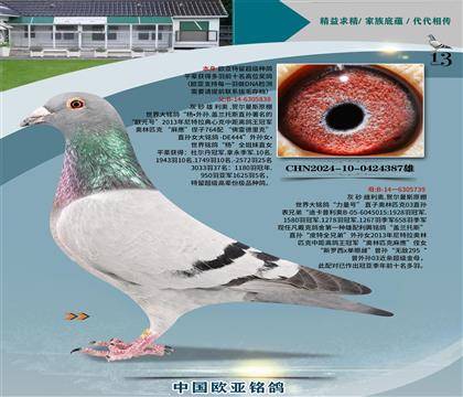 롰Xš739