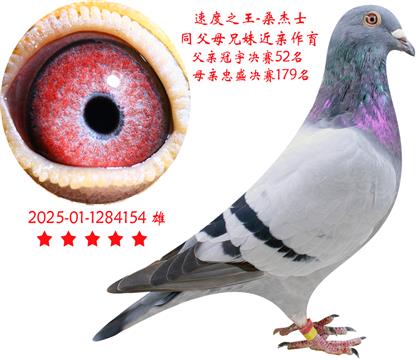 ص㣡ٶ֮-154