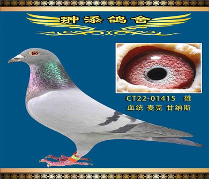 һ˸˹˽415