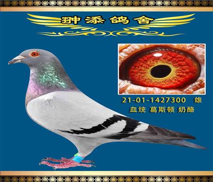 С098ֱ 300