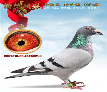˫ظ22 9