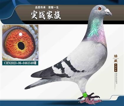 鶫47ֱ