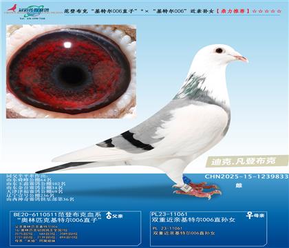 ǲˣض006ֱӣض006Ů