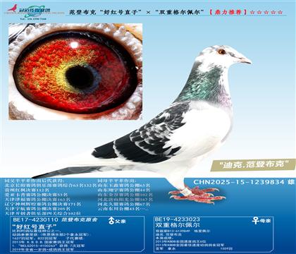 ǲˡúֱӡ˫ظ
