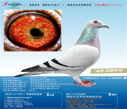 ǲˡض006ֱӡƥס