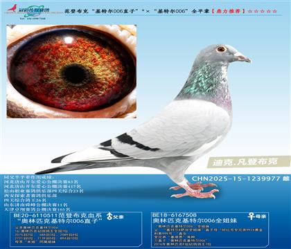 ǲˣض006ֱӣض006ȫƽ