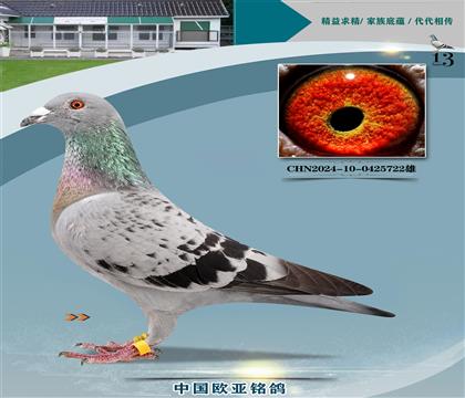 롰Xš019
