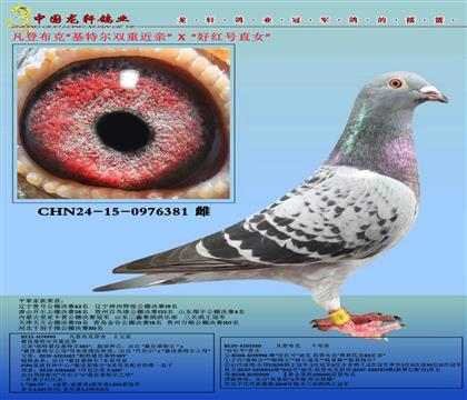 ǲ˻ض˫ؽXúֱŮ