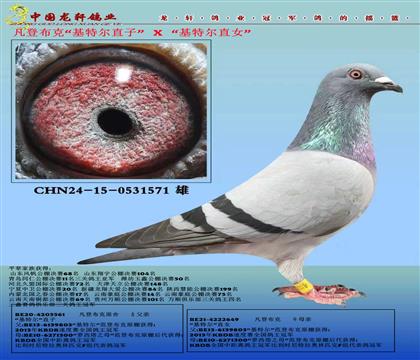 ǲ˻ضֱXضֱŮ