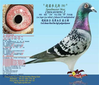 ¡˹ѪX ղɭ019ؽHX ղɭ