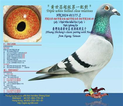 SǱ׳һ䌦