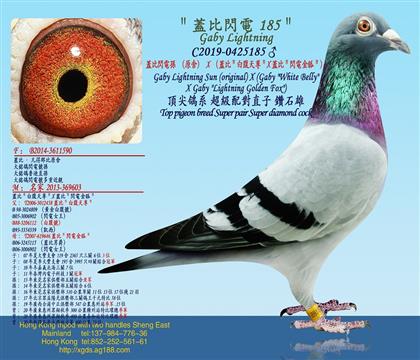 wW늌OԭᣩXwȣ׸XwȣW늽;
