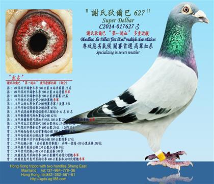Խ/xϵҠ͡һѪؽH