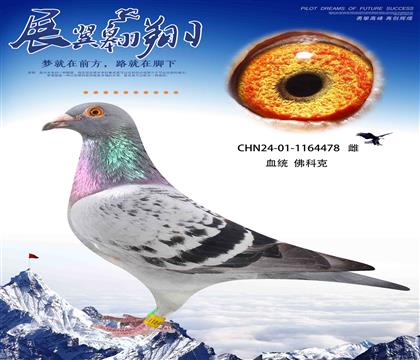 һСķɸһСķɹھķƿ478