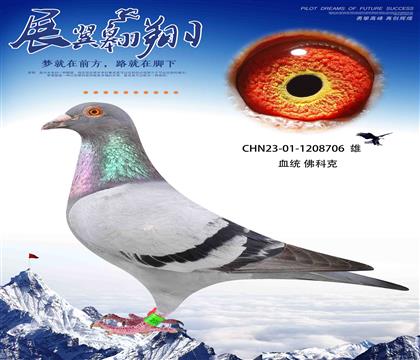 һɾ͸λķƿ706