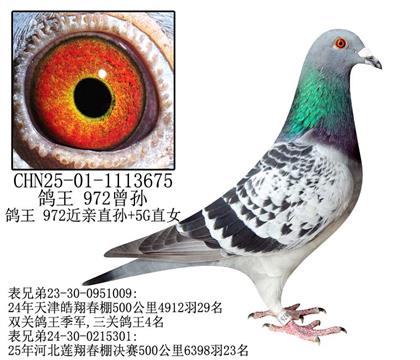  972-5