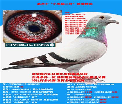  Կͣ ɣʿСԶ