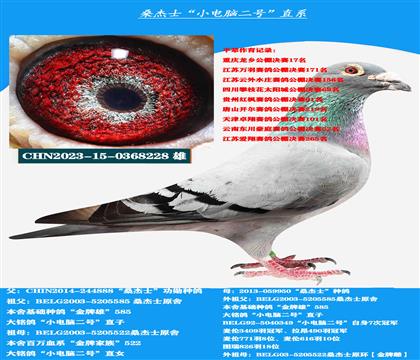 Կ  ɣʿСԶ