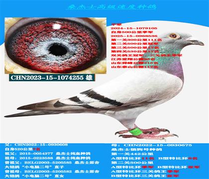 ٶ֮ Կͣ ɣʿǾֱ