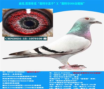 Ͽ ǲˡضֱXض006ȫ