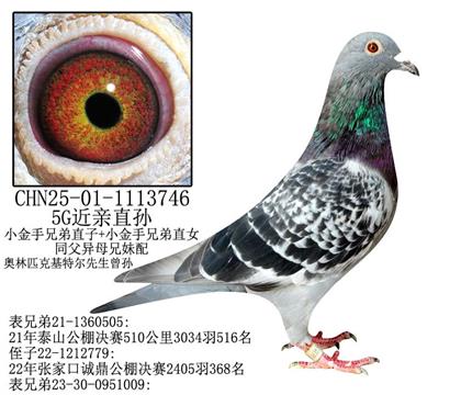 5Gֱ-12