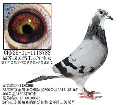 ĹظǾֶŮ-16