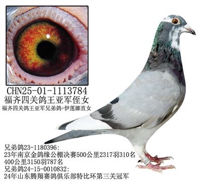 ĹظǾֶŮ-17