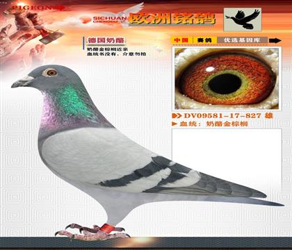 6-¹+鵽