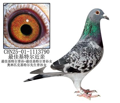 ѻض-18