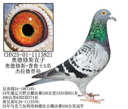 ÷һֱӡ¡-20