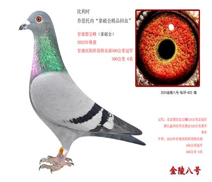 9ʱ ˼ڡؾƷѪ