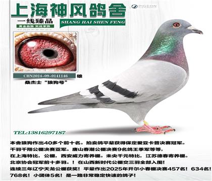 ǹŻѪ