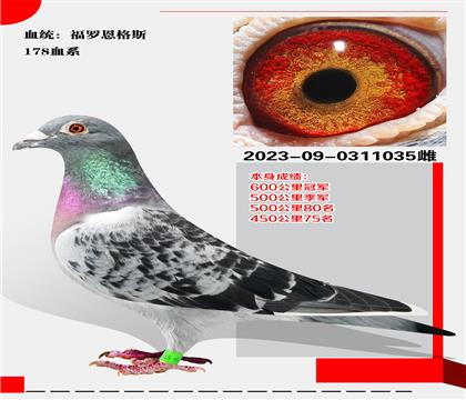 ޶˹178Ѫϵ   ٻ600ھ