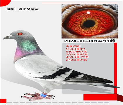 ǱȻʼһ  ٻ5508