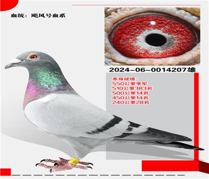 쫷Ѫϵ  550＾
