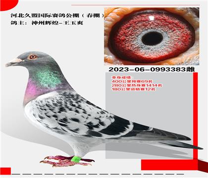 ݻԻ-ˬ ѡͺӱ˹ʹ