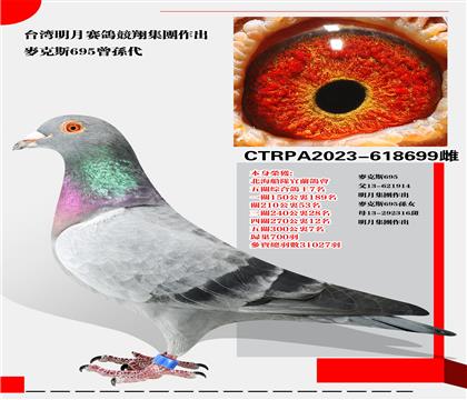 ̨˹695