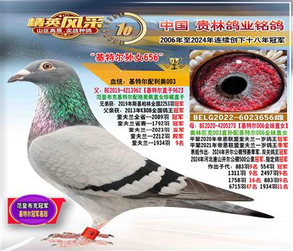 ĸضŮ656