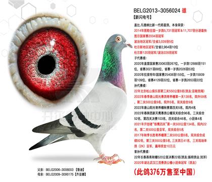 游376