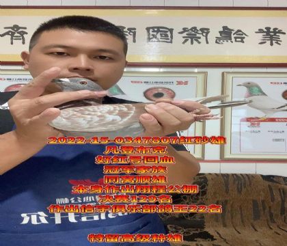 ǲ˺úŻѪ22֮