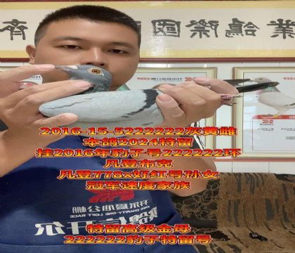 ǲ˺úţĸӺ222222