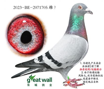 4.ضѩѪ.2071705