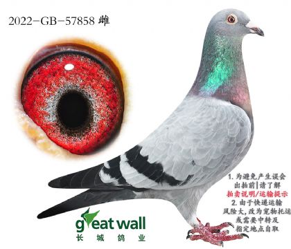 3.÷¡ʱ.57858