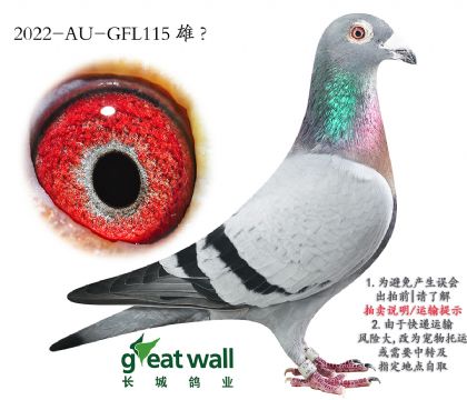 5.˹ԭ.115