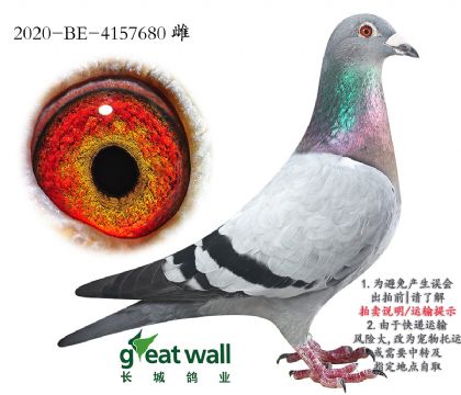 6.ʱ911Ѫ.4157680