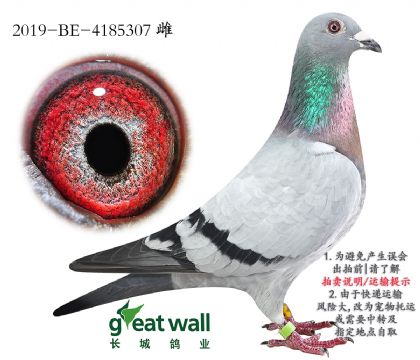 7.ƽӴ.4185307