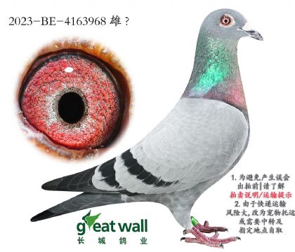 8.޿ֱ.4163968